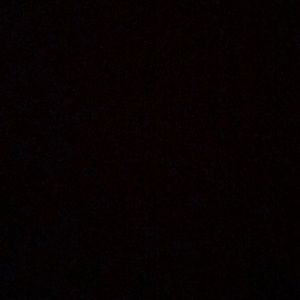 Meet your Posher, Toby